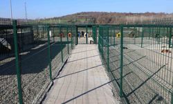 BARÜ’de kampüsteki hayvanlar için yaşam merkezi oluşturuldu