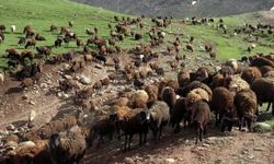 "Halk Elinde Islah Projeleri"ne 2,7 milyar lira destek