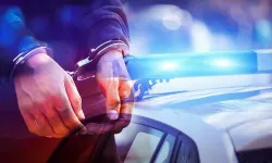 Şanlıurfa'da 16 adrese baskın! Cephanelik ele geçirildi