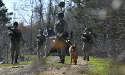 Edirne sınır hattında bir yılda 330 FETÖ zanlısı yakalandı