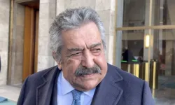 Feti Yıldız'dan kayyum açıklaması: Kaldırılması lazım