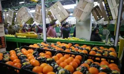 Tarım sektörü, don ve kuraklığa rağmen yıllık ihracat rekoru kırdı