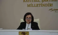 CHP'li meclis üyesi komisyon görevinden istifa etti