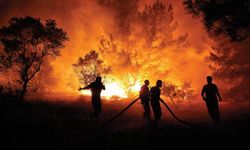 'Kasten orman yakma' suçundan aranan hükümlü yakalandı