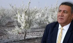 CHP'li Gürer zirai don riskine dikkati çekti