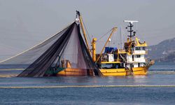 Karadeniz'in geleceği için balıkçılıkta yeni dönem!