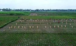 Yıldırım düşmesi sonucu 12 kişi hayatını kaybetti