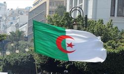 Cezayir hükümeti seçime gidiyor