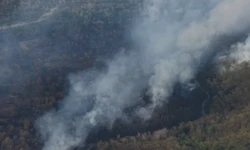İstanbul Valiliğinden Çatalca ve Beykoz'daki yangınlara ilişkin açıklama