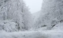 Bu geceye dikkat: Kar geliyor
