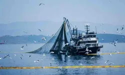 Denizlerde avcılık küçük türlere kaydı