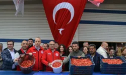 Manisa'da sezonun ilk kirazı 6 bin TL'den satıldı