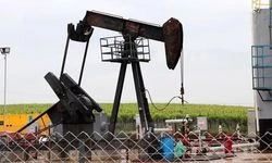 ABD'nin ticari ham petrol stokları 3,1 milyon varil arttı