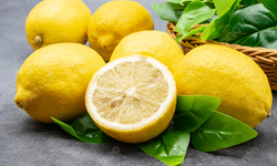 Türkiye yılın ilk çeyreğinde en fazla limonu Rusya'ya gönderdi