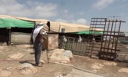 Filistin topraklarını gasbeden İsrailliler, Batı Şeria'da Filistinlilere saldırarak koyunlarını çalmaya çalıştı