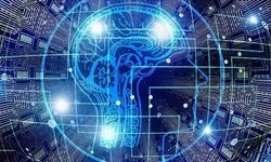 "Biyohibrit Robot" projesi için düğmeye basıldı