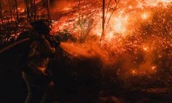 Japonya'nın Iwate eyaletindeki orman yangınlarını söndürme çalışmaları ikinci gününde devam ediyor
