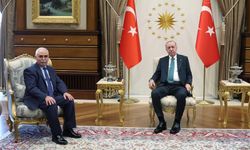 Cumhurbaşkanı Erdoğan, AYM Başkanı Özkaya'yı kabul etti