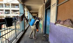 Gazze'de yerinden edilen Filistinliler, sığınma merkezlerinde haşereyle mücadele ediyor