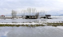 Muş'ta yağışlar geçen yıla göre yüzde 200 arttı