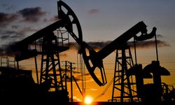 BAE'nin ayrılık kararı OPEC'te dengeleri değiştiriyor