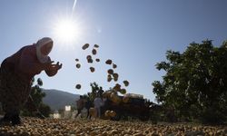 Dünya Meteoroloji Örgütü: Aşırı sıcaklar 1 milyardan fazla kişinin geçim kaynakları için tehdit