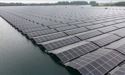 Yüzer güneş enerji santralleri doğal yaşama çatı oluyor