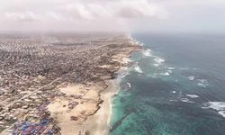 Afrika'nın mavi kaynakları üzerinde kaçak avcılık ve yabancı filolar baskısı artıyor