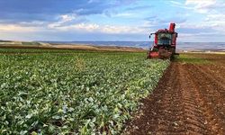 Çiftçilere yılın ilk çeyreğinde 35,6 milyar liralık tarımsal destek ödemesi yapıldı