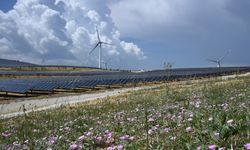 Enerji piyasasında Türkiye’nin yükselen rolü dikkati çekiyor