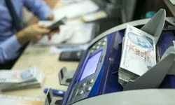 Mayıs ayı "Sosyal ve Ekonomik Destek" ödemeleri hesaplara yatırıldı