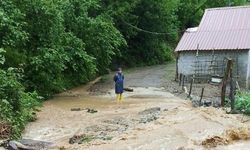 Artvin'de sağanak taşkın ve heyelanlara neden oldu