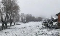 Bazı illerde kar etkili oldu