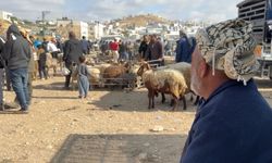 İsraillilerin hayvan hırsızlığı ve mera gasbı Batı Şeria'da kurban pazarlarını vurdu