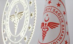 Sağlık Bakanlığından "hantavirüs" açıklaması: Ülkemizde henüz pozitif vaka tespit edilmemiştir