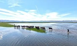 Ardahan'da kar sularıyla debisi yükselen Kura Nehri dronla görüntülendi