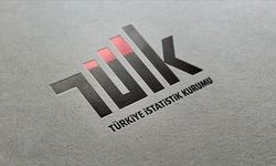 TÜİK mart ayı dış ticaret endekslerini açıkladı
