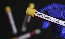 ABD, Kenya mahkemesinin önerilen Ebola tesisini durdurmasının ardından ortaya çıkan endişeleri gidermeye çalışıyor.