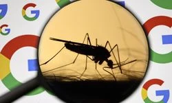 Google, 32 milyon "kısır sivrisineği" doğaya salmaya hazırlanıyor