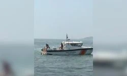 Kocaeli'de feribottan denize düşen kişiyi bir yolcu kurtardı