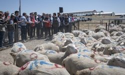 "Kırsalda Bereket Küçükbaşa Destek Projesi" kapsamında ilk hayvanların teslim töreni yapıldı