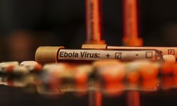 ABD'de 2026 FIFA Dünya Kupası öncesi bazı havalimanlarında Ebola tarama merkezleri kurulacak