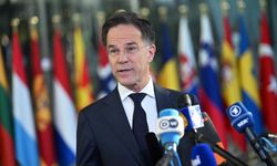 Rutte, ABD'nin Avrupa'daki katkılarını azaltma kararını "hemen" uygulayacağını söyledi