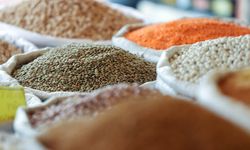 Hububatçılar alım fiyatlarının çiftçi ve piyasa beklentisini karşıladığını düşünüyor
