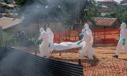 Kongo Demokratik Cumhuriyeti'nde Ebola kaynaklı can kaybı 200'ü aştı
