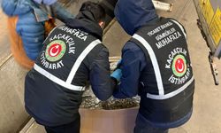 Gümrükler Muhafaza ekipleri uyuşturucu kaçakçılığına geçit vermiyor