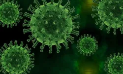 DNA örneklerine göre, en eski veba salgını yaklaşık 5 bin 500 yıl önce görüldü