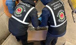 Gümrükler Muhafaza ekipleri zehir tacirlerine göz açtırmadı