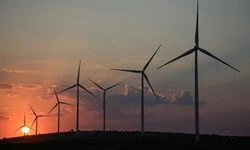 Yenilenebilir enerji üretimi mayısta zirveye ulaştı, kömür 22 yılın en düşük seviyesine geriledi