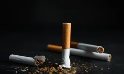 Pek çok kanser türünün başlıca nedenini "sigara" oluşturuyor
